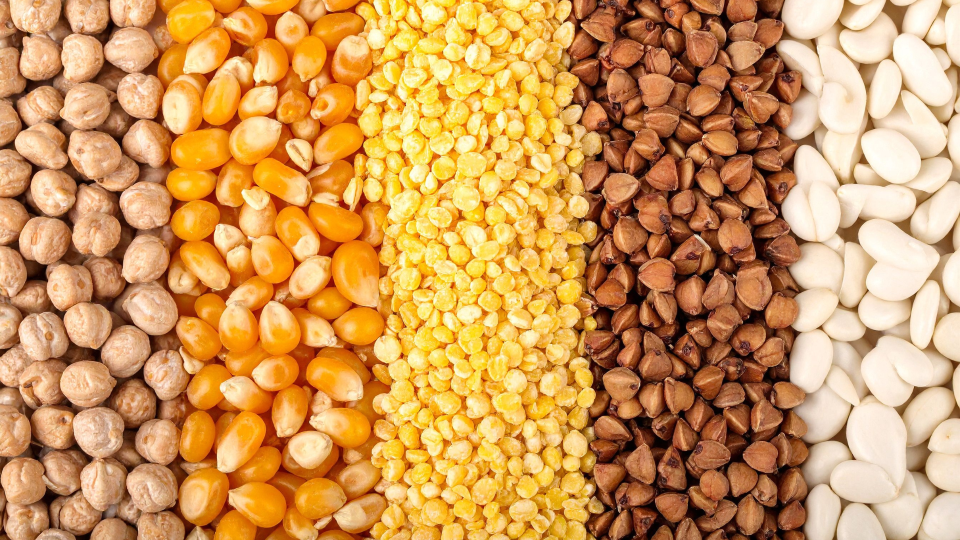 Unlocking Biodiversity: How Europe Is Rethinking Crop Diversity for a Resilient Future